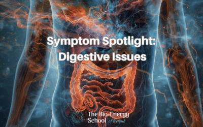Symptom Spotlight: Digestive Issues – Emotional, Energetic & BioEnergy Insights